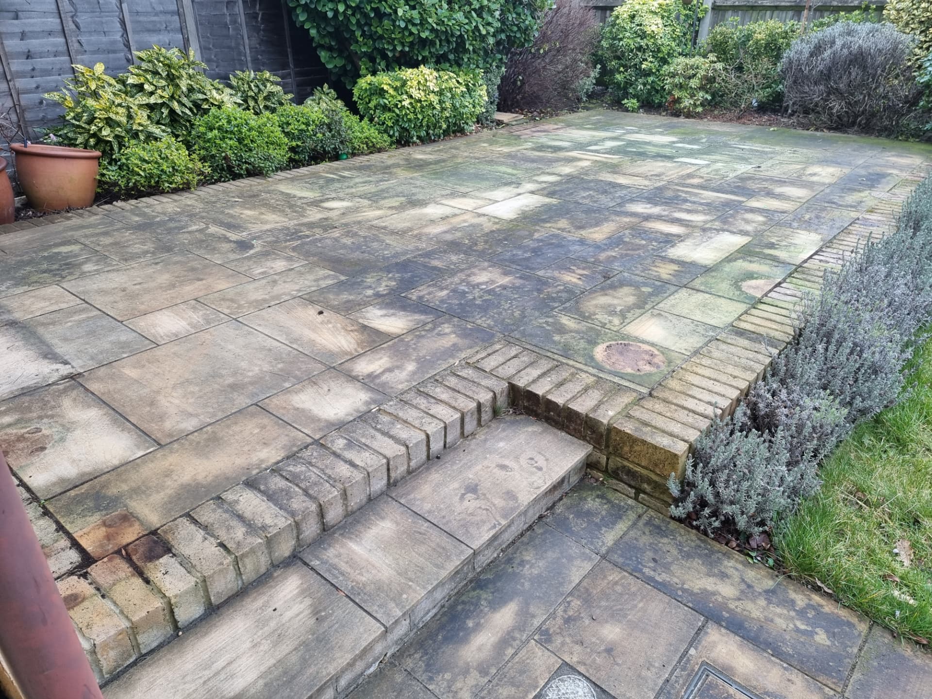 Sandstone patio covered in algae, lichen and staining before cleaning
